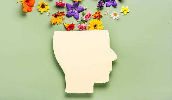 Inside the Mind of a NYT Editor